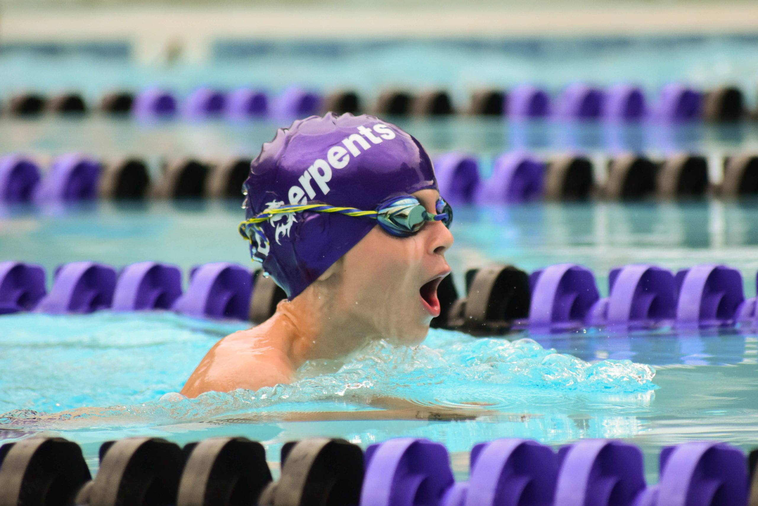 canterbury woods swim club